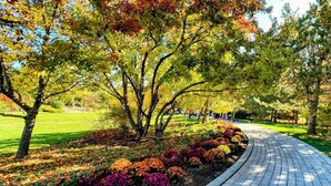 A paved pathway in a park with trees and colorful flower beds.