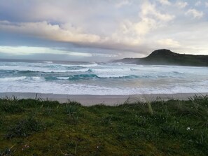 Playa