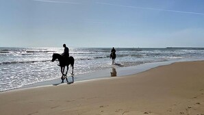 A beach with a horse and rider near the water's edge. - La casa dei Giarrentini (Modica)