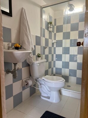 A bathroom with a toilet, sink, and shower area. - Hotel La Montoya (Curiti)