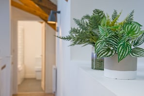 Contemporary hallway with a potted plant and a white door leading to a stylish room.