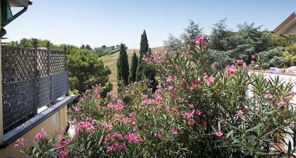 M213 - Marcelli, three-room apartment with large panoramic terrace