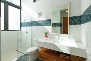 Shower, hair dryer, towels