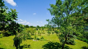 Un jardí ben cuidat amb arbres i arbustos diversos, un cel blau clar i una zona enjardinada.