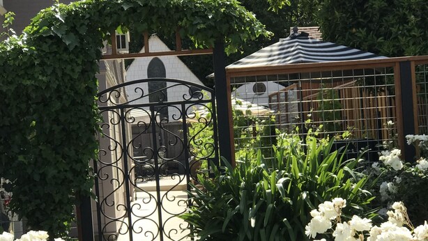 A garden with white flowers, a metal gate, and a gazebo. - Contemporary Flat w/Gentleman's Vineyard -1 Block to Downtown Napa! Non-Hosted (Napa)
