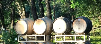 Contemporary Flat w/Gentleman's Vineyard - 1 Block to Downtown Napa! Non-Hosted