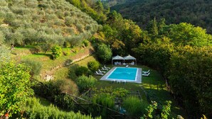 Une piscine entourée d’une végétation luxuriante et un belvédère agrémenté de chaises longues.