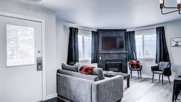 TV, fireplace, Netflix, books