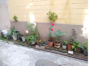 Property grounds - Conociendo México (lindo y querido) (Sta María la Ribera)