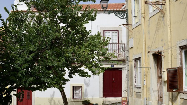 A narrow cobblestone street with buildings, a tree, and a red door.