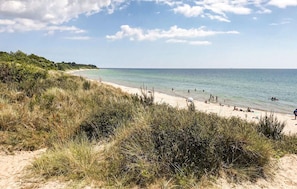 A beach with clear skies and calm waters, surrounded by grassy dunes and vegetation. - 3 bedroom gorgeous home in Aakirkeby (Aakirkeby)