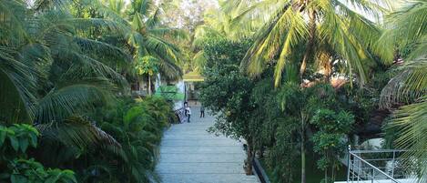 A pathway flanked by lush greenery and palm trees, leading to a building with a white exterior and a balcony.