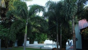 Ein Innenhof mit Swimmingpool, Palmen und einem Gebäude mit rotem Dach.