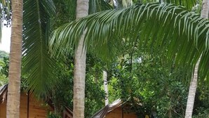 Front of property - Khu du lich Bai Bang (Kien Hai)