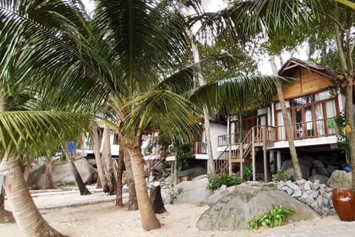 Panoramic Tree House | Courtyard view