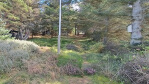 Een natuurlijk buitenlandschap met een houten bankje, een stenen muur en diverse struiken en bomen.
