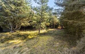Terrain de l’hébergement