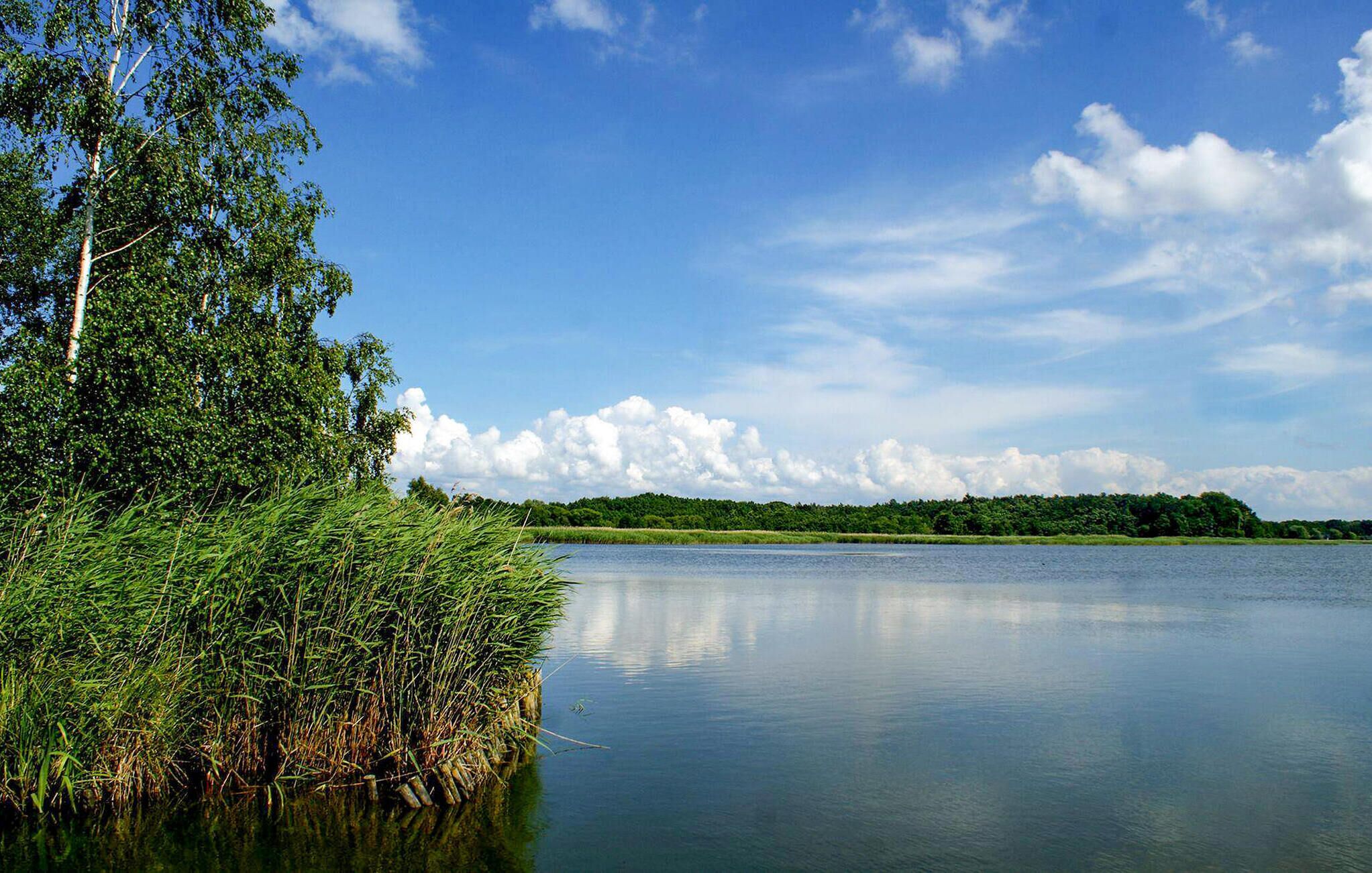 Ein ruhiger See mit dichtem Grün und Bäumen auf der linken Seite, einem klaren Himmel und einer entfernten Baumgrenze.