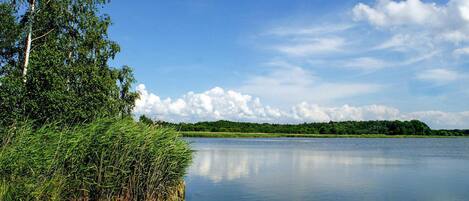 Ein ruhiger See mit dichtem Grün und Bäumen auf der linken Seite, einem klaren Himmel und einer entfernten Baumgrenze.