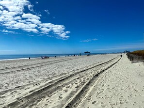 On the beach