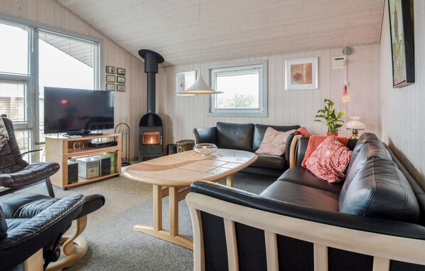 TV, fireplace, DVD player