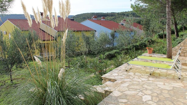 A residential area with houses, a stone pathway, and a small garden with tall grasses.