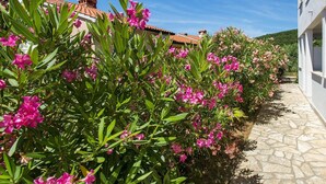 Property grounds - Apartment 2024/28745 (Istria - Rabac), 1200m from the beach (Rabac)