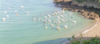 Nice home in Plehedel