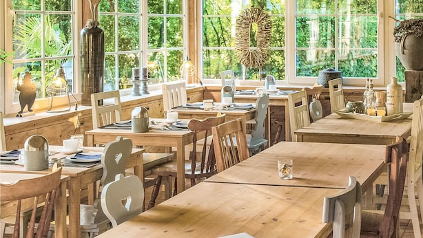 A rustic dining area with wooden tables and chairs, large windows with greenery outside, and various dining items on the tables.