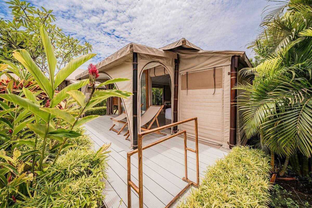 A tented structure with an open entrance, surrounded by lush greenery and a wooden deck.