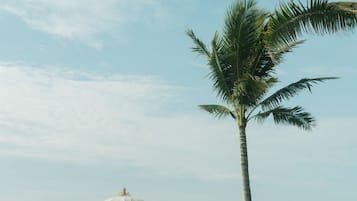 Frühstück, Mittagessen und Abendessen