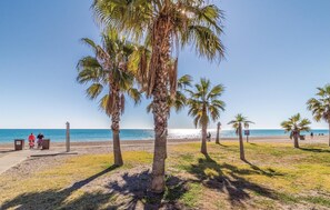 A beach with palm trees, a wooden walkway, and the ocean in the background.