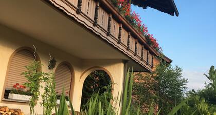 Ferienwohnung, 140pm 4 - 8 Gäste, nähe Freiburg & Europapark, tolle Terrasse