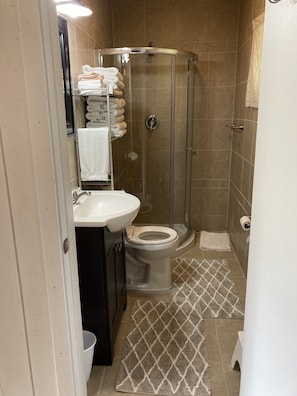 Douche, séchoir à cheveux, serviettes fournies, savon