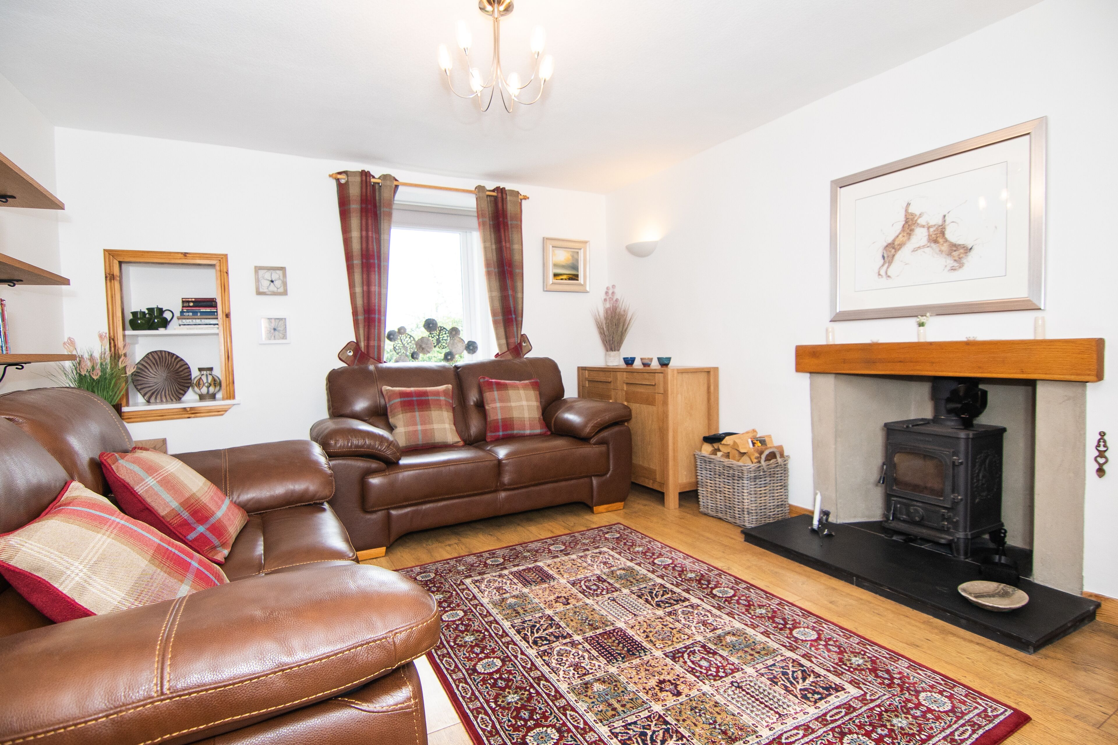 Smart TV, fireplace, DVD player, books