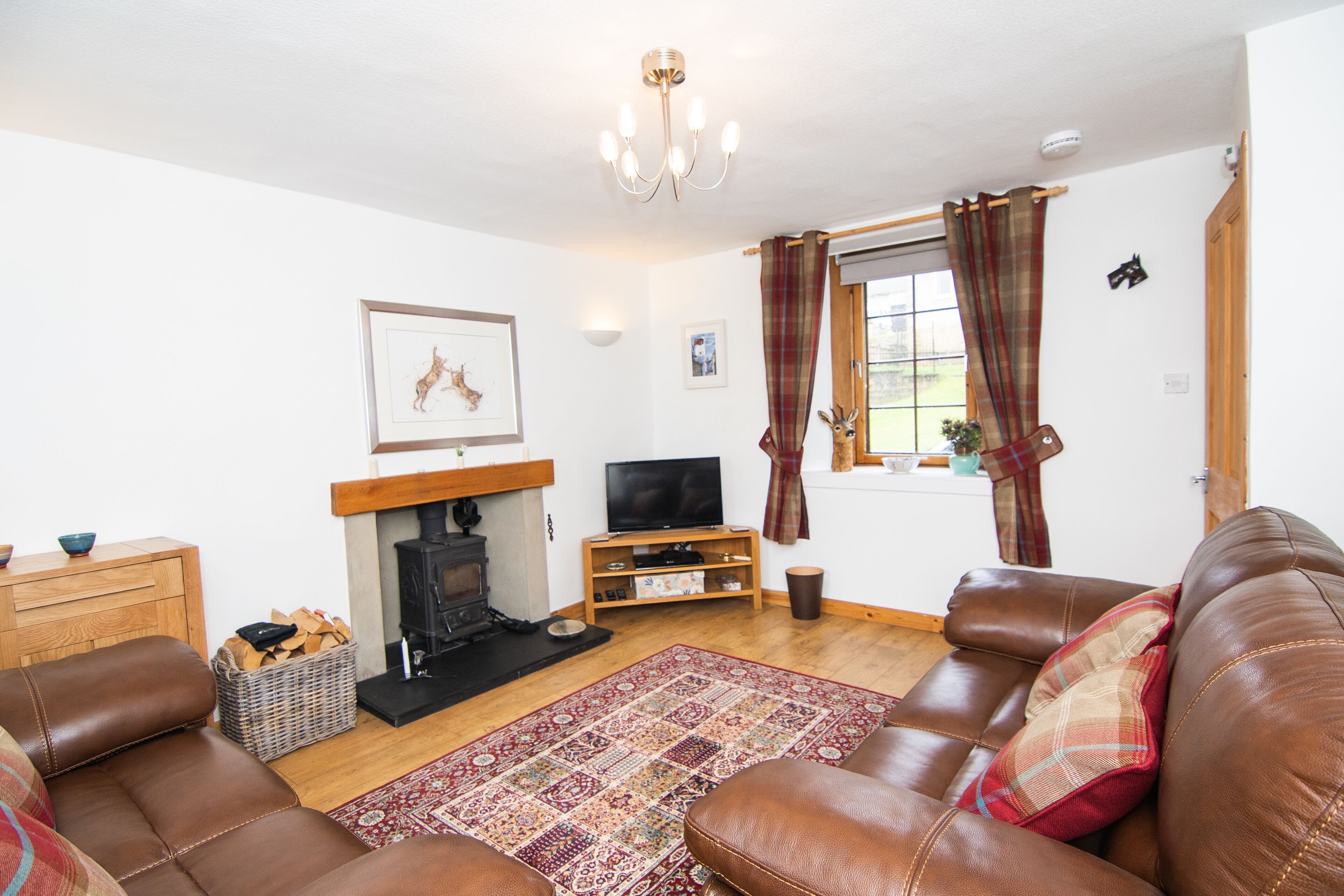 智能電視、壁爐、DVD 播放機、書籍