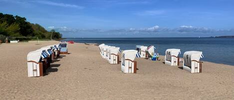 Playa en los alrededores y camastros