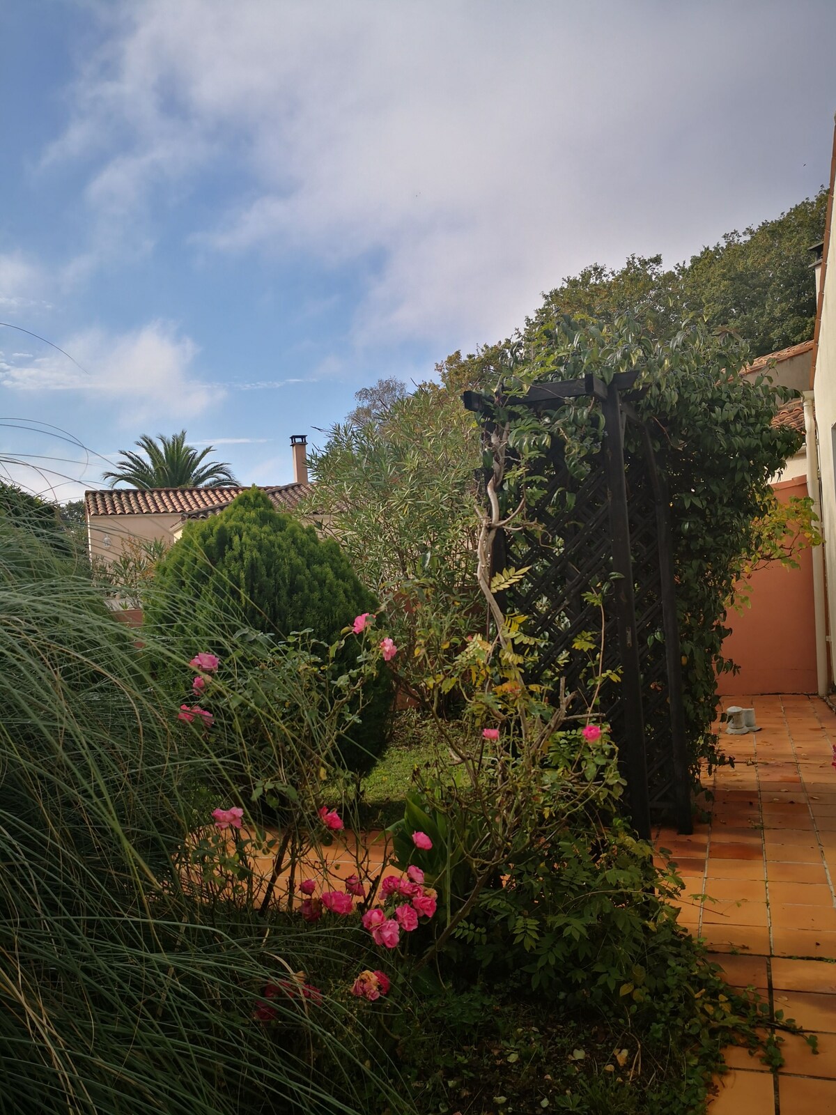 オーナーのプロフィール画像