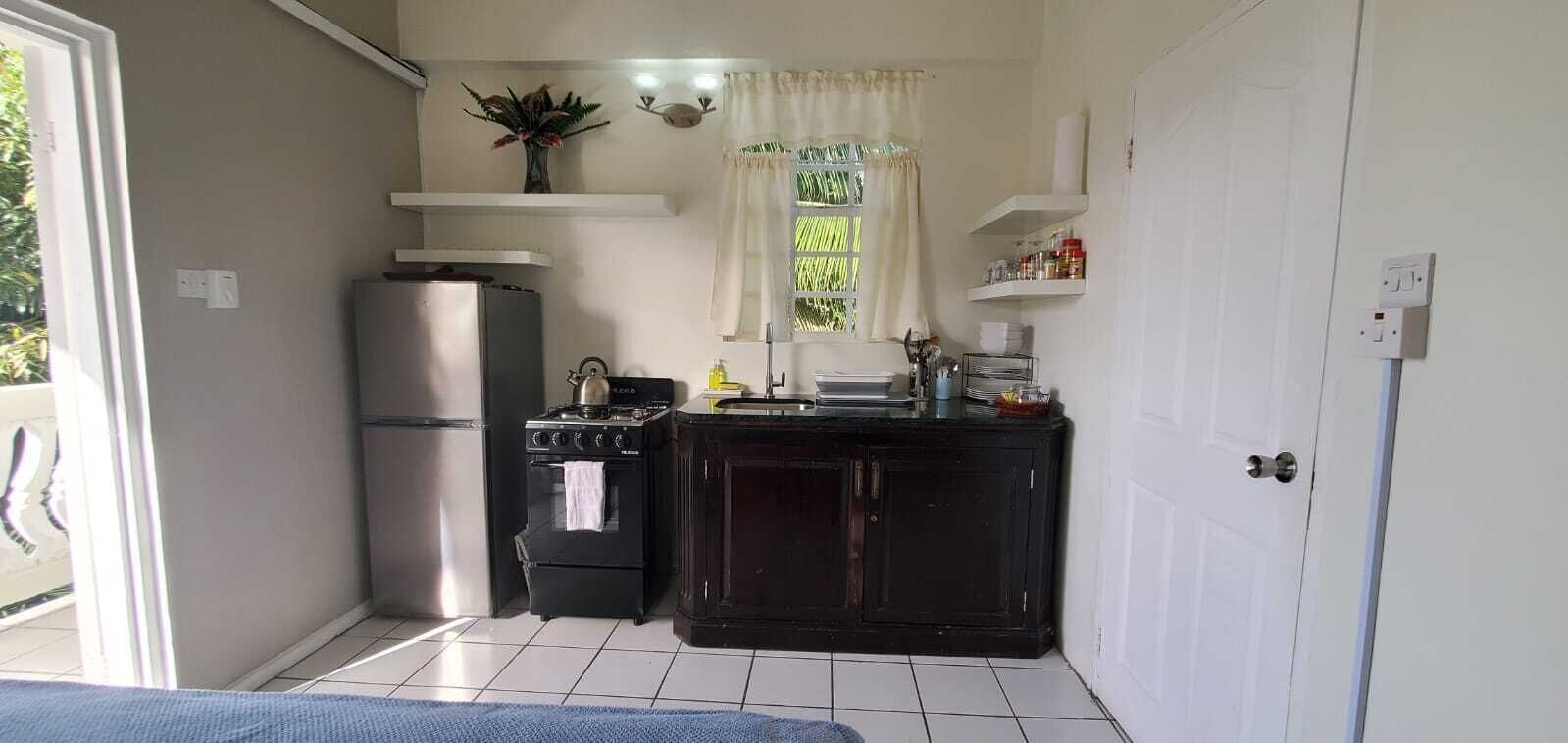 Fridge, oven, stovetop, cookware/dishes/utensils