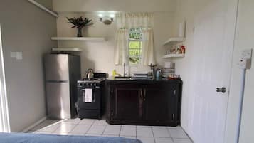 Fridge, oven, stovetop, cookware/dishes/utensils