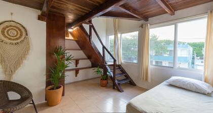 Hotel Caracol Puerto Morelos