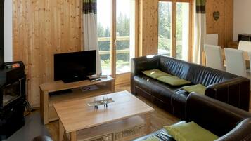 Télévision, cheminée, lecteur de DVD