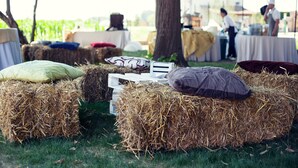 Heuballen mit Kissen auf einer Wiese, wahrscheinlich bei einer Outdoor-Veranstaltung oder einem Festival.