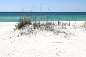 Beach nearby - SUPER CUTE, DOG FRIENDLY, CONVENIENT TO THE BEACH! (Gulf Shores)