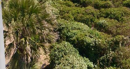 CAN'T MISS FULL RENO for 2026! Once Upon a Tide: Oceanfront, pool, READ DETAILS