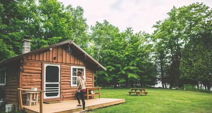 Cabin on lake with sauna - pets ok. Kayaks and boat provided.