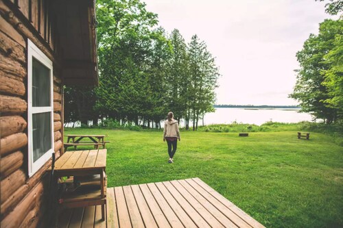 Cabin on lake with sauna - pets ok. Kayaks and boat provided.