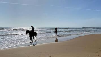 In Strandnähe, Angeln