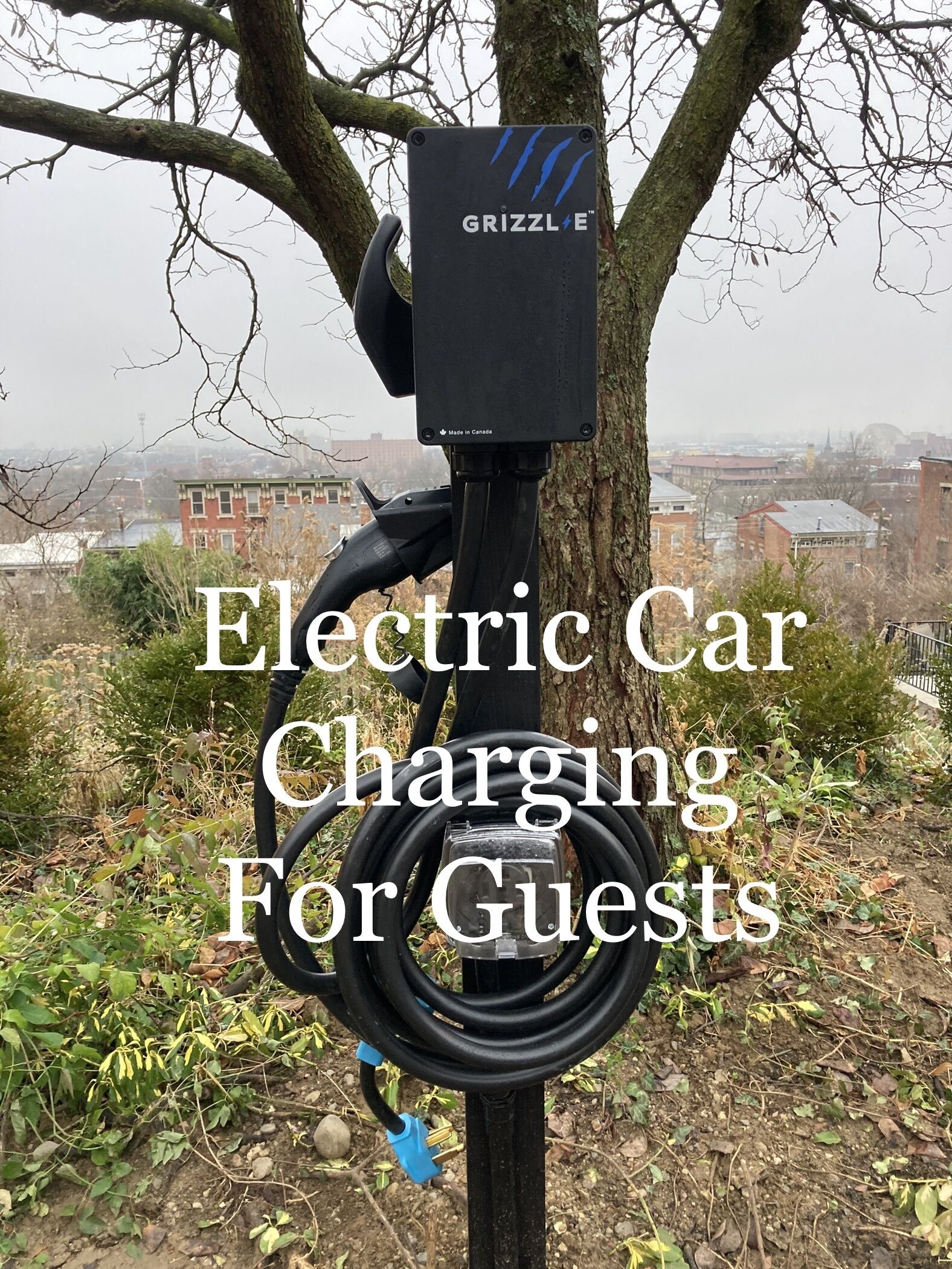 An electric car charging station branded 'GRIZZLE' attached to a tree, with a cityscape in the background.