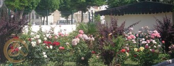 Erdogan Ege Pansiyon